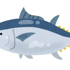 元板前が魚捌きます！