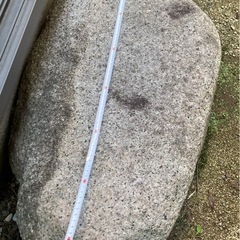 庭石の画像