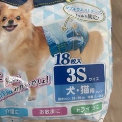 仔犬、超小型犬用セットの画像
