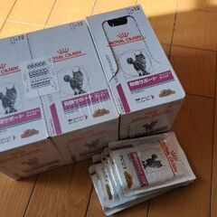 ロイヤルカナン猫用 腎臓サポートフィッシュテイスト ウェットタイプ