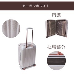 【新品】シフレ スーツケース 52L～60L 3.3kg GTE2253-55の画像