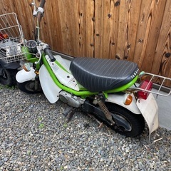 チャピー50
