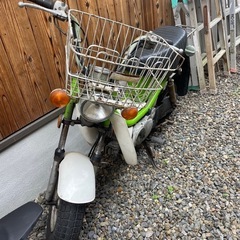 チャピー50
の画像