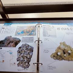 地球の鉱物コレクション　石　鉱物　写真集の画像