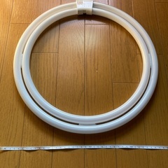 蛍光灯　Panasonic FDH100