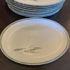 どこか懐かしい竹柄　大小和皿!!の画像