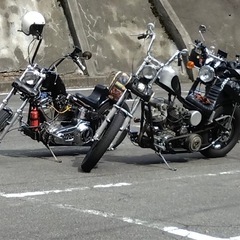 キャブ車限定のハーレー乗り募集 − 東京都