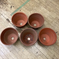 10号　植木鉢の画像