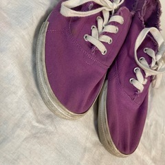 PUMA 25cm　キャンバス　スニーカー　パープルの画像