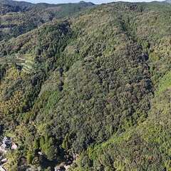【成約済】山林物件217　福岡県八女郡広川町