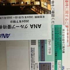 ANA株主優待券