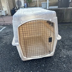 バリケンネル　XL バリケン　大型犬　　