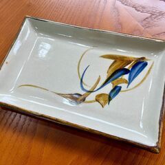 平皿１９枚セット（21㎝×13㎝）の画像