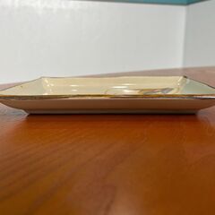 平皿１９枚セット（21㎝×13㎝）の画像