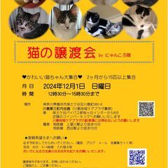 12月１日　猫の譲渡会　by にゃんころ隊