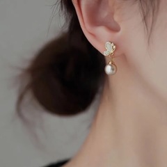 蝶とピアス