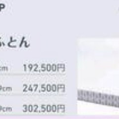 じぶんまくら じぶん敷ふとん マットレス  ダブル  美品　定価30万の画像