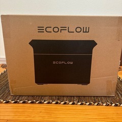 早い者勝ち！新品 ポータブル電源 ECOFLOW DELTA 3 1024Whの画像