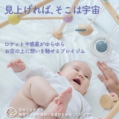 プラントイ　ベビージムの画像