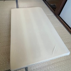 トゥルースリーパーシングルサイズ(まくら付き)の画像