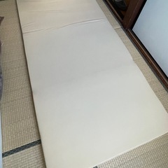 トゥルースリーパーシングルサイズ(まくら付き)の画像