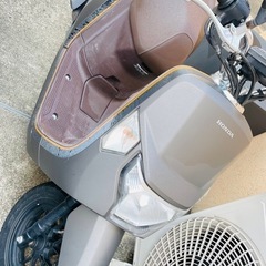 原付　ホンダ　ダンク