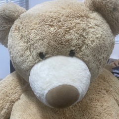 クマのぬいぐるみの画像