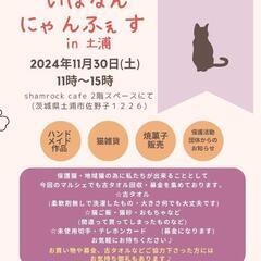 いばなん🐱にゃんふぇす開催