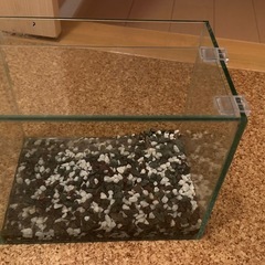 水槽　