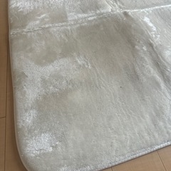 ニトリ　Ｎウォーム　ラグ
の画像
