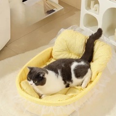 新品  犬猫用ベッドの画像