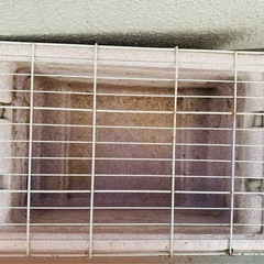 スドー　メダカの発泡鉢 いたずら防止ネット