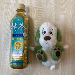 いないいないばあ　ワンワン　ぬいぐるみの画像