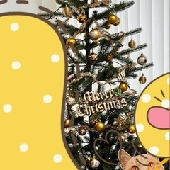 クリスマスツリーの画像