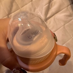 BBOX 上のみ の画像