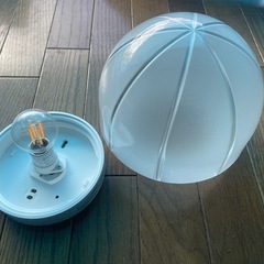  天井照明②　電球形蛍光灯の画像