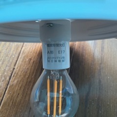  天井照明②　電球形蛍光灯の画像