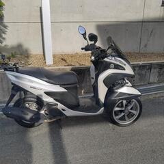トリシティ125 三輪　YAMAHA　京都　原付二種　２種の画像
