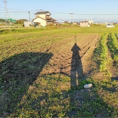 農作業を手伝っていただける方募集！