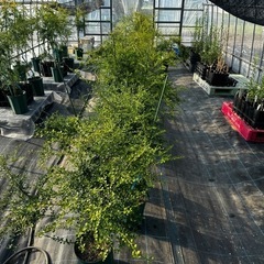 農作業を手伝っていただける方募集！ - 鳥栖市