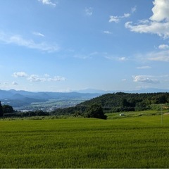 少しずつ暖かくなりましたね − 東京都