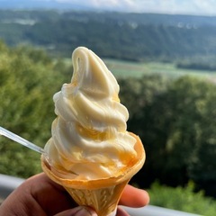 少しずつ暖かくなりましたね - 町田市