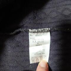 レディース トップス 4Lの画像