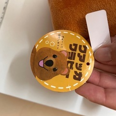 ワラビーのぬいぐるみの画像