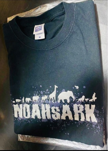 購入決まりました。★最長2月15日迄　最終値下げ★★期間限定☆大注目‼︎【超超激レア】ノアズアーク　スノーボード板