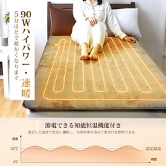 【新品未使用】① 電気毛布 敷き 160×80cm 無段階温度調節 ダニ退治 掛け兼用 12時間タイマー付き 抗菌防臭 自動電源オフ 丸洗い 過熱保護 電気掛敷毛布 省エネ ブランケット 電気ひざ掛け 電気敷き毛布 防寒対策の画像