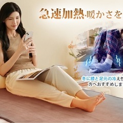 【新品未使用】① 電気毛布 敷き 160×80cm 無段階温度調節 ダニ退治 掛け兼用 12時間タイマー付き 抗菌防臭 自動電源オフ 丸洗い 過熱保護 電気掛敷毛布 省エネ ブランケット 電気ひざ掛け 電気敷き毛布 防寒対策の画像