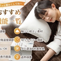 【新品未使用】① 電気毛布 敷き 160×80cm 無段階温度調節 ダニ退治 掛け兼用 12時間タイマー付き 抗菌防臭 自動電源オフ 丸洗い 過熱保護 電気掛敷毛布 省エネ ブランケット 電気ひざ掛け 電気敷き毛布 防寒対策の画像