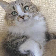 里親様決まりました(^-^)