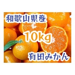 和歌山県産　有田みかん　秀優10kg